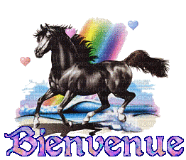 bienvenue cheval